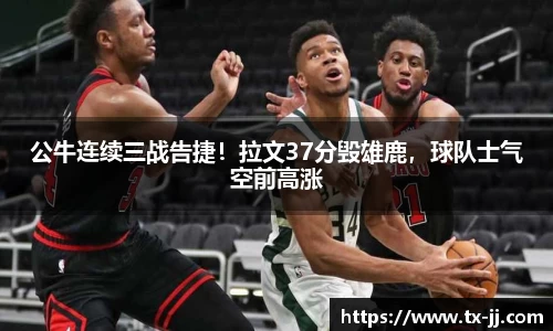 博鱼.体育官网