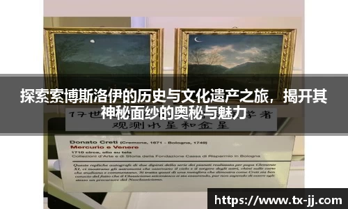 探索索博斯洛伊的历史与文化遗产之旅，揭开其神秘面纱的奥秘与魅力